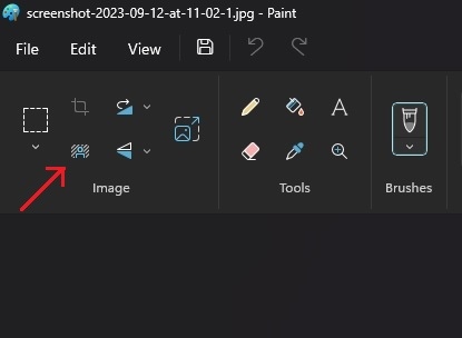 820 如何使用 Windows 11 画图应用程序的背景去除工具